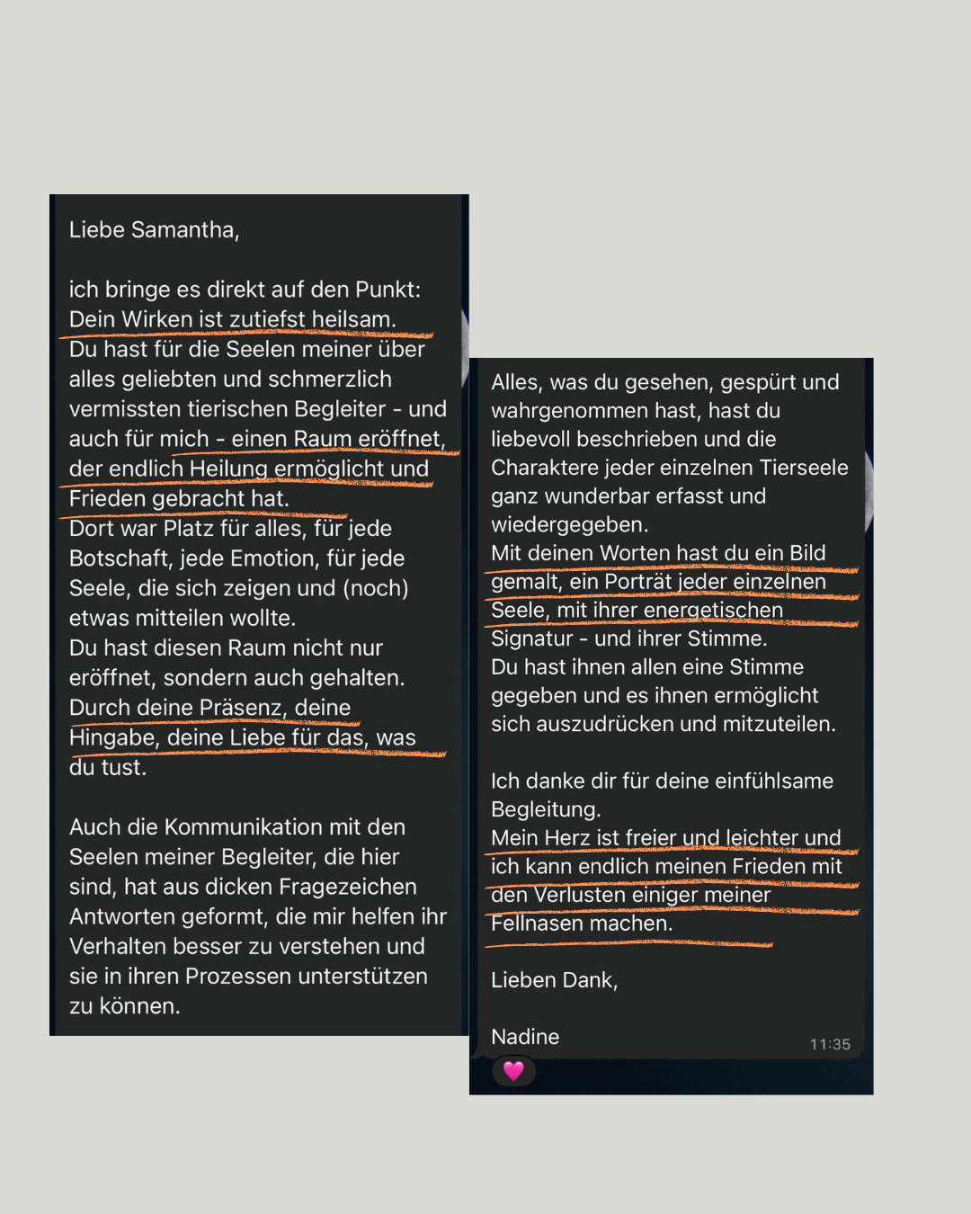 Feedback Screenshot 1