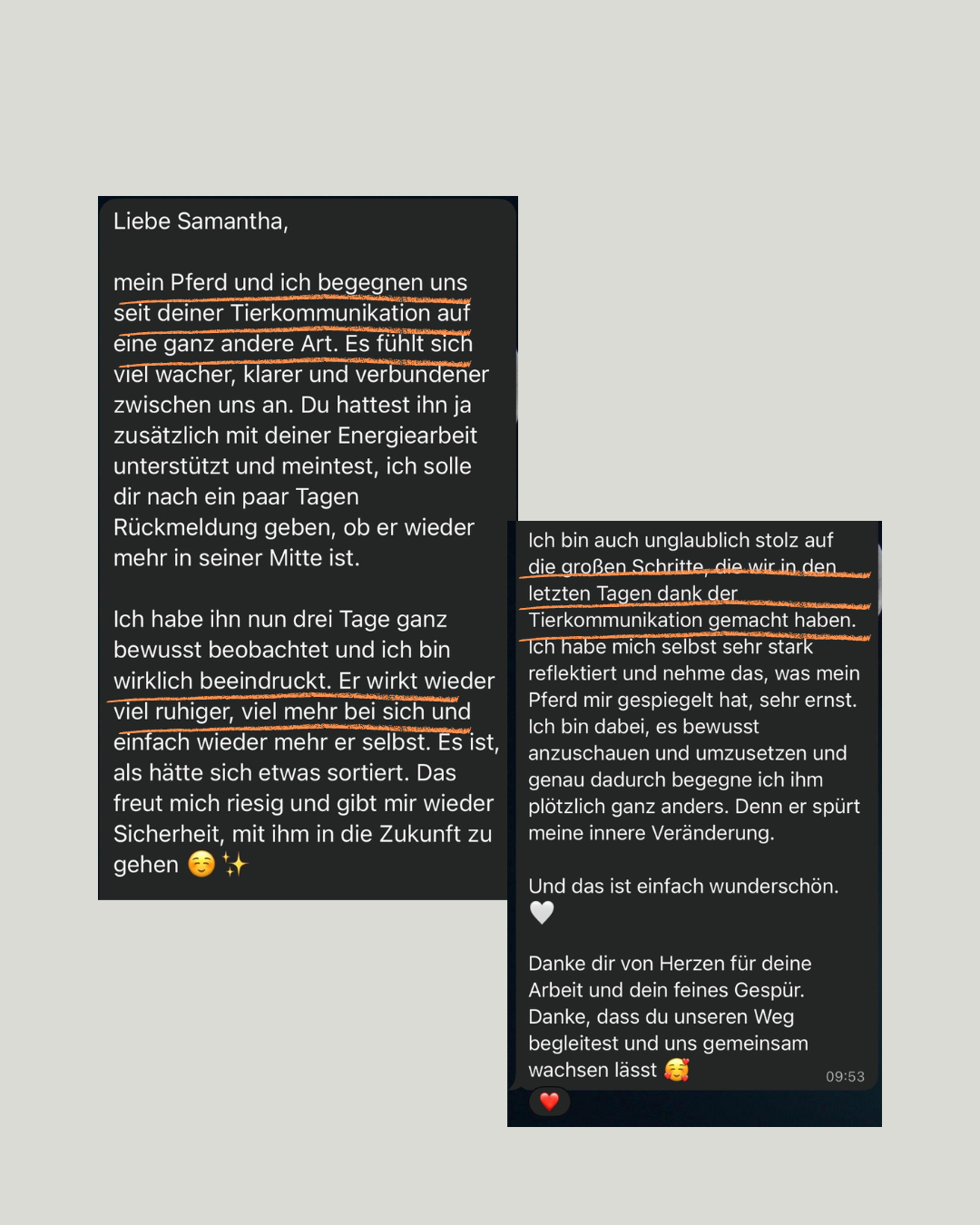 Feedback Screenshot 4