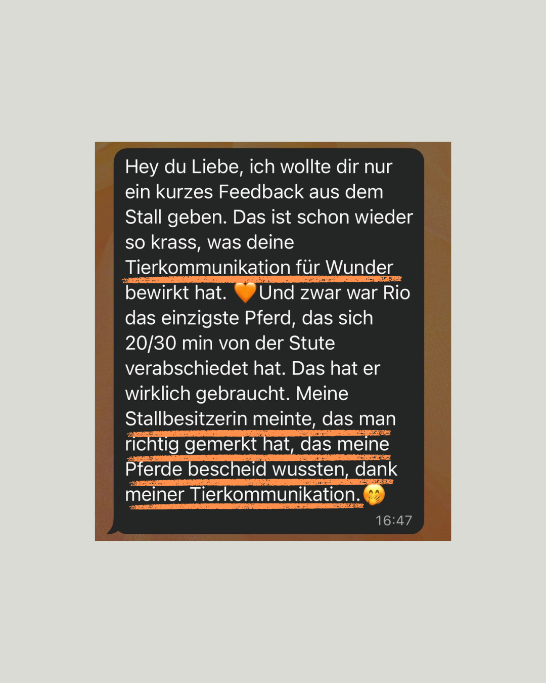 Feedback Screenshot 3