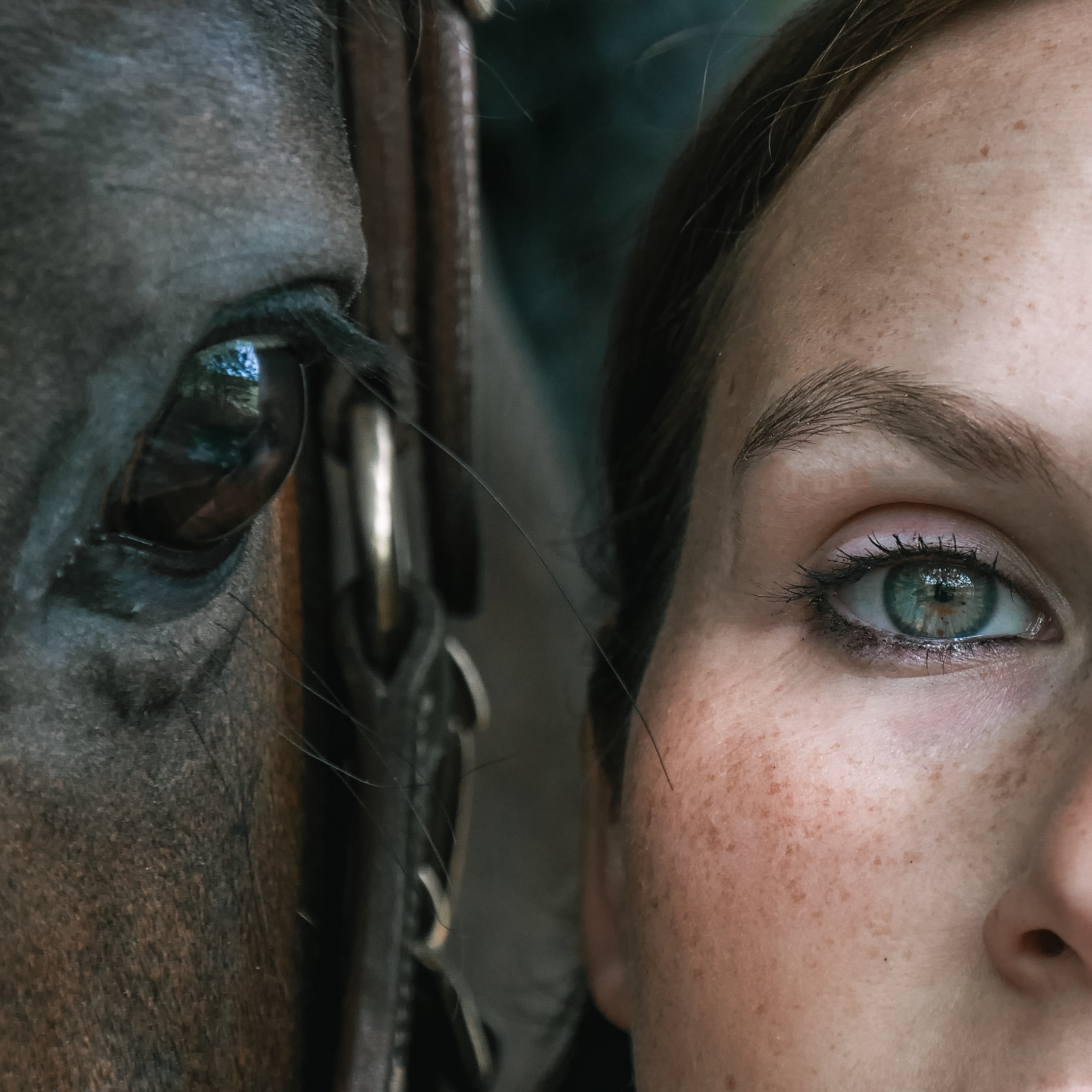 Pferdeauge und Samanthas Auge in stiller, intensiver Verbindung