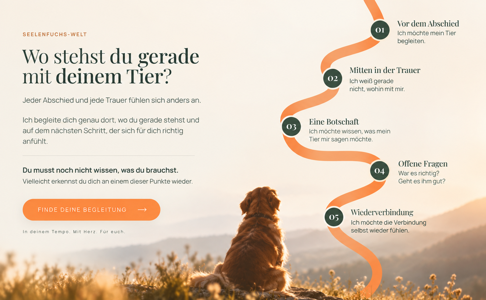 Seelenfuchs-Welt: Wo stehst du gerade mit deinem Tier? Fünf Wege durch Abschied, Trauer, Botschaft, offene Fragen und Wiederverbindung.