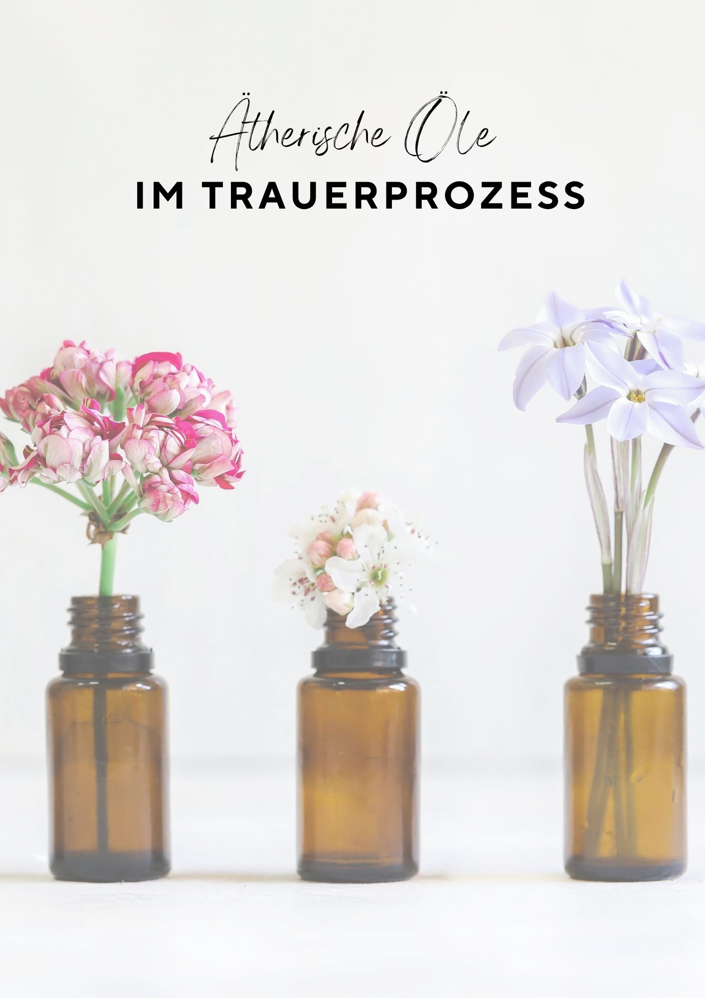 Cover des Workbooks Ätherische Öle im Trauerprozess